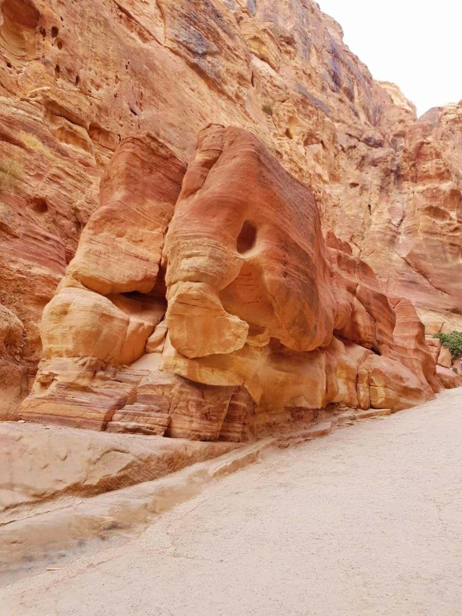 Экскурии в Шарм-Эль-Шейе, Хургаде, Марса-Алам от Egypt travel world