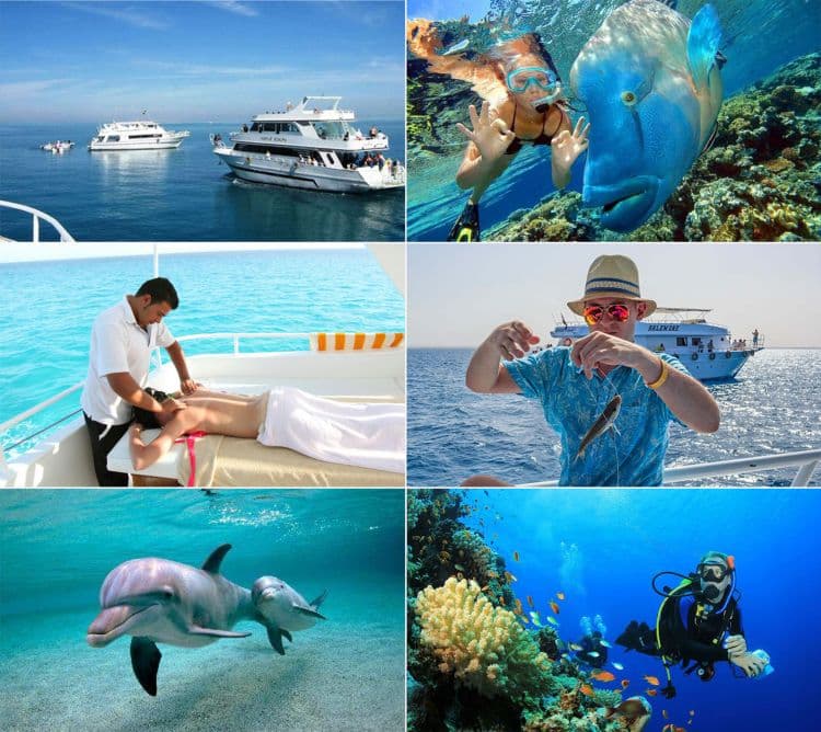 Экскурии в Шарм-Эль-Шейе, Хургаде, Марса-Алам от Egypt travel world
