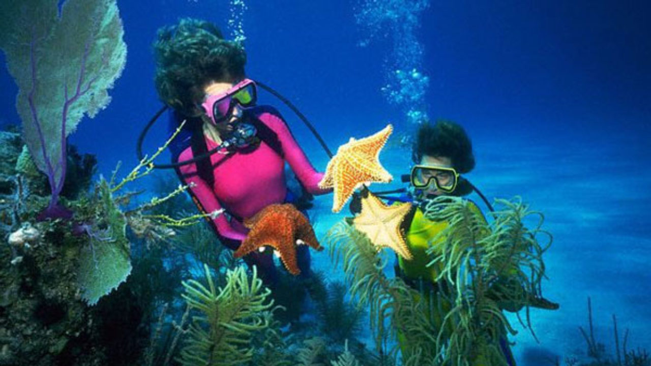 Экскурии в Шарм-Эль-Шейе, Хургаде, Марса-Алам от Egypt travel world