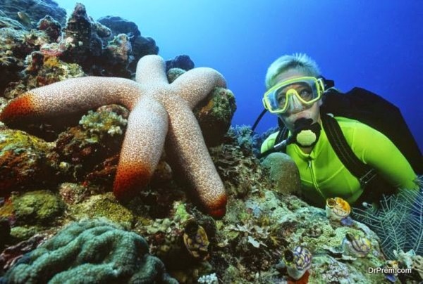 Экскурии в Шарм-Эль-Шейе, Хургаде, Марса-Алам от Egypt travel world